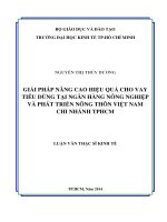 Giải pháp nâng cao hiệu quả cho vay tiêu dùng tại ngân hàng nông nghiệp và phát triển nông thôn Việt Nam chi nhánh TPHCM  Luận văn thạc sĩ