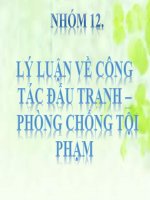 Bài thuyết trình Lý luận về công tác đấu tranh – phòng chống tội phạm