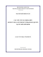 Các yếu tố tác động đến hành vi mua sản phẩm vi phạm bản quyền tại TPHCM  Luận văn thạc sĩ