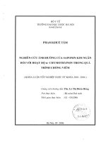 Nghiên cứu ảnh hưởng của saponin kim ngân đối với hoạt độ anpha   chymotrysin trong quá trình chống viêm