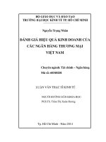 Đánh giá hiệu quả kinh doanh của các ngân hàng thương mại Việt Nam  Đại học Kinh tế TP.HCM, 2015