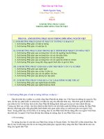 ẢNH HƯỞNG PHẬT GIÁO TRONG đời SỐNG NGƯỜI VIỆT