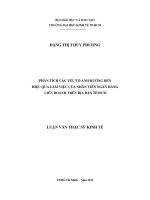 PHÂN TÍCH CÁC YẾU TỐ ẢNH HƯỞNG ĐẾN HIỆU QUẢ LÀM VIỆC CỦA NHÂN VIÊN NGÂN HÀNG LIÊN DOANH TRÊN ĐỊA BÀN TP.HCM