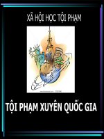 Bài thuyết trình Xã hội học tội phạm Tội phạm xuyên quốc gia