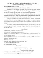 Đề thi thử Đại học môn Ngữ Văn - THPT Ngô Thì Nhậm (NINH BÌNH)- 2014