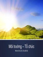 Thuyết trình đề tài MÔI TRƯỜNG HOẠT ĐỘNG CỦA TỔ CHỨC