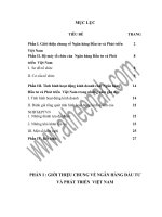 Một số giải pháp nâng cao hiệu quả huy động vốn trung dài hạn tại ngân hàng đầu tư và phát triển hà nội