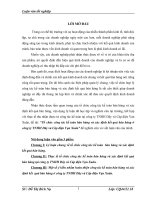 Tổ chức công tác kế toán bán hàng vµ xác định kết quả bán hàng ở công ty TNHH Dây và Cáp điện Vạn Xuân