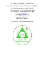 Dự Án Chi Tiết Khu Vui Chơi Giải Trí Vườn Thiên Thanh