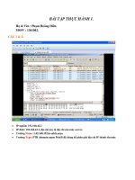 BÀI tập THỰC HÀNH 1