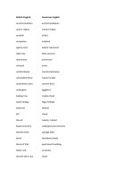 British English and American English words