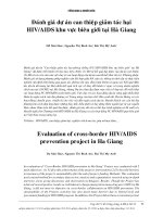 Đánh giá dự án can thiệp giảm tác hại HIVAIDS khu vực biên giới tại hà giang