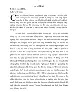 SKKN Một số biện pháp nâng cao nâng lực chuyên môn cho đội ngũ giáo viên của hiệu trưởng trường THCS