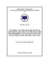 Tác động của mối quan hệ tín dụng nhân hàng lên việc cấp tín dụng cho doanh nghiệp tại ngân hàng thương mại cổ phần Công Thương Việt Nam