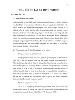 Tổng hợp câu hỏi và đáp án ôn tập môn Hành vi tổ chức