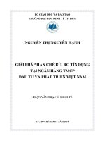 GIẢI PHÁP HẠN CHẾ RỦI RO TÍN DỤNG TẠI NGÂN HÀNG THƯƠNG MẠI CỔ PHẦN ĐẦU TƯ VÀ PHÁT TRIỂN VIỆT NAM.PDF