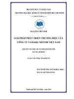 Giải pháp phát triển Thương Hiệu của công ty Yamaha Motor Việt Nam Luận văn thạc sĩ  2014
