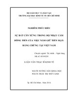 Sự bất cân xứng trong độ nhạy cảm dòng tiền của việc nắm giữ tiền mặt bằng chứng tại Việt Nam  Luận văn thạc sĩ  2014