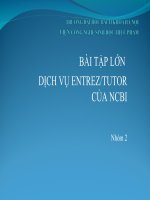 BÀI TẬP LỚN DỊCH VỤ ENTREZ-TUTOR CỦA NCBI