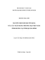 Nguyên nhân rủi ro tín dụng của các ngân hàng thương mại Việt Nam Tình huống tại tỉnh Quảng Bình