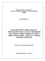 Giải pháp phát triển dịch vụ thẻ thanh toán tại các chi nhánh ngân hàng nông nghiệp và phát triển nông thôn khu vực TPHCM Luận văn thạc sĩ
