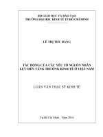 ác động của các yếu tố nguồn nhân lực đến tăng trưởng kinh tế ở Việt Nam Luận văn thạc sĩ