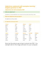 Adjectives explained with examples