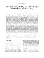 tình hình tại nạn thương tích tại bệnh viện đa khoa trung tâm Tiền Giang
