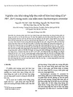 Nghiên cứu khả năng hấp thu một số kim loại nặng (cu2+, pb2+, zn2+) trong nước của nấm men saccharomyces cerevisiae = preliminary study on removal of some heavy metals (cu2+, pb2+, zn2+) in water by biosor