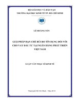 Giải pháp hạn chế rủi ro tín dụng đối với cho vay đầu tư tại ngân hàng phát triểnViệt Nam