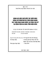Đánh giá hiệu quả điều trị thiếu máu bằng erythropoietin trên bệnh nhân suy thận mạn đang được lọc máu chu kỳ tại bệnh viện đa khoa tỉnh điện biên