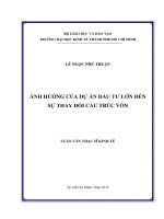 Ảnh hưởng của dự án đầu tư lớn đến sự thay đổi cấu trúc vốn  Luận văn thạc sĩ  2014