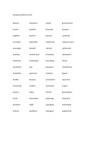 List of compound nouns