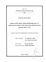 Định lượng đồng thời metronidazol và spiramycin trong viên nén bằng phưưong pháp quang phổ UV   VIS