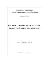 Tồn tại hay không hiệu ứng tuyến J trong trường hợp của Việt Nam  Luận văn thạc sĩ  2014