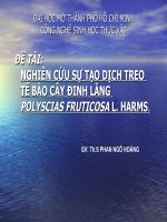 NGHIÊN CỨU SỰ TẠO DỊCH TREO TẾ BÀO CÂY ĐINH LĂNG POLYSCIAS FRUTICOSA L. HARMS.