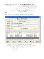 ĐỀ THI LẬP TRÌNH TRONG MÔI TRƯỜNG WINDOWS (ĐHSP)