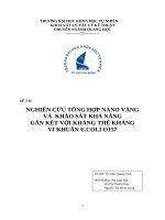 Nghiên cứu tổng hợp nano vàng và khảo sát khả năng gắn kết với kháng thể kháng vi khuẩn e coli