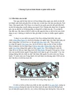 Chương1 Lịch sử hình thành và phát triển áo dài