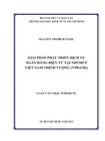 Luận văn thạc sĩ Giải pháp phát triển dịch vụ ngân hàng điện tử tại Ngân hàng thương mại cổ phần Việt Nam thịnh vượng