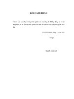 Luận văn thạc sĩ Phát triển dịch vụ ngân hàng điện tử tại ngân hàng thương mại cổ phần Đại Dương