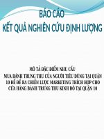 MÔ TẢ ĐẶC ĐIỂM NHU CẦU MUA BÁNH TRUNG THU CỦA NGƯỜI TIÊU DÙNG TẠI QUẬN 10 ĐỂ ĐỀ RA CHIẾN LƯỢC MARKETING THÍCH HỢP CHO CỬA HÀNG BÁNH TRUNG THU KINH ĐÔ TẠI QUẬN 10
