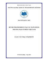 Luận văn thạc sĩ Rủi ro thanh khoản tại các ngân hàng thương mại cổ phần Việt Nam