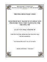 GIẢI PHÁP ĐẨY MẠNH XUẤT KHẨU SẢN PHẨM DỆT MAY VIỆT NAM SANG THỊ TRƯỜNG MỸ.PDF