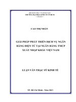 GIẢI PHÁP PHÁT TRIỂN DỊCH VỤ NGÂN HÀNG ĐIỆN TỬ TẠI NGÂN HÀNG TMCP XUẤT NHẬP KHẨU VIỆT NAM.PDF