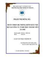 HOÀN THIỆN HỆ THỐNG KIỂM SOÁT NỘI BỘ TẠI CÔNG TY TNHH MỘT THÀNH VIÊN AN PHÚ LUẬN VĂN THẠC SĨ.PDF