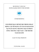 GIẢI PHÁP HẠN CHẾ RỦI RO TRONG HOẠT ĐỘNG CẤP TÍN DỤNG CÓ TÀI SẢN BẢO ĐẢM TẠI NGÂN HÀNG TMCP CÔNG THƯƠNG VIỆT NAM - CHI NHÁNH NAM SÀI GÒN  LUẬN VĂN THẠC SĨ.PDF