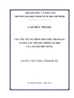 CÁC YẾU TỐ TÁC ĐỘNG ĐẾN VIỆC THAM GIA TƯƠNG TÁC TRUYỀN THÔNG XÃ HỘI CỦA NGƯỜI TIÊU DÙNG.PDF