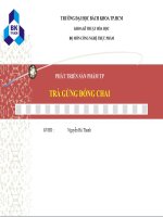 PHÁT TRIỂN SẢN PHẨM TP TRÀ GỪNG ĐÓNG CHAI