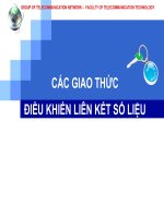 CÁC GIAO THỨC ĐIỀU KHIỂN LIÊN KẾT SỐ LIỆU